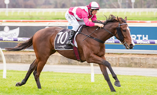 Showmanship (NZ) (Showcasing) claimed the Listed Strathmore Community Bendigo Bank Stakes (1200m). 